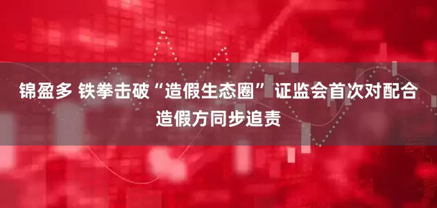 锦盈多 铁拳击破“造假生态圈” 证监会首次对配合造假方同步追责