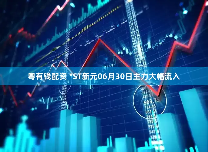 粤有钱配资 *ST新元06月30日主力大幅流入